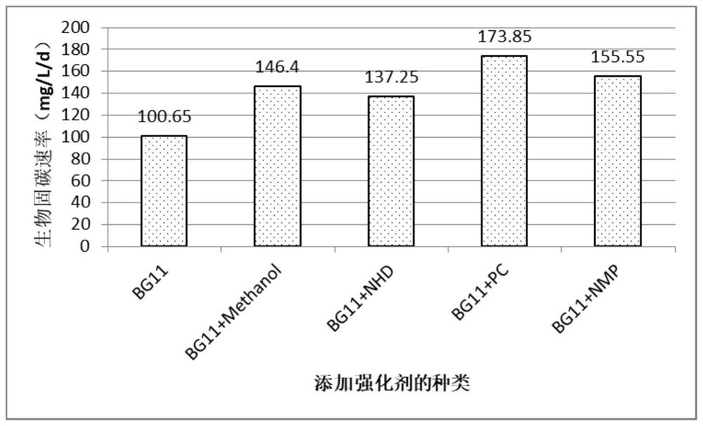 Application of microalgae carbon sequestration enhancer and culture medium containing enhancer