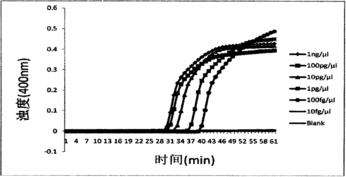 Method for detecting turnip mosaic virus by adopting reverse transcription loop-mediated isothermal amplification technology