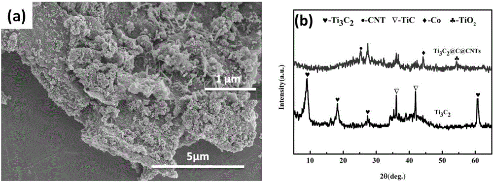 Titanium carbide in-situ-growth CNTs three-dimensional composite material with carbon microspheres being transition layers and preparing method thereof