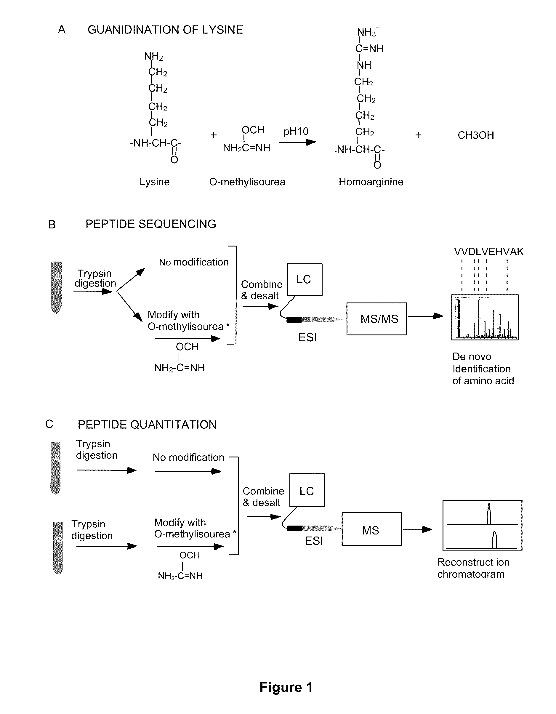 Protein Expression Profile Database