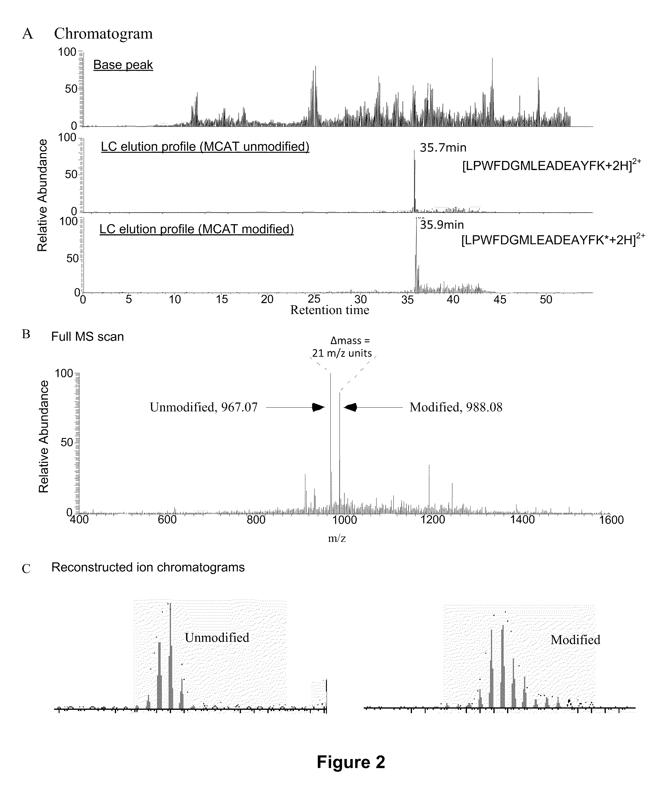 Protein Expression Profile Database