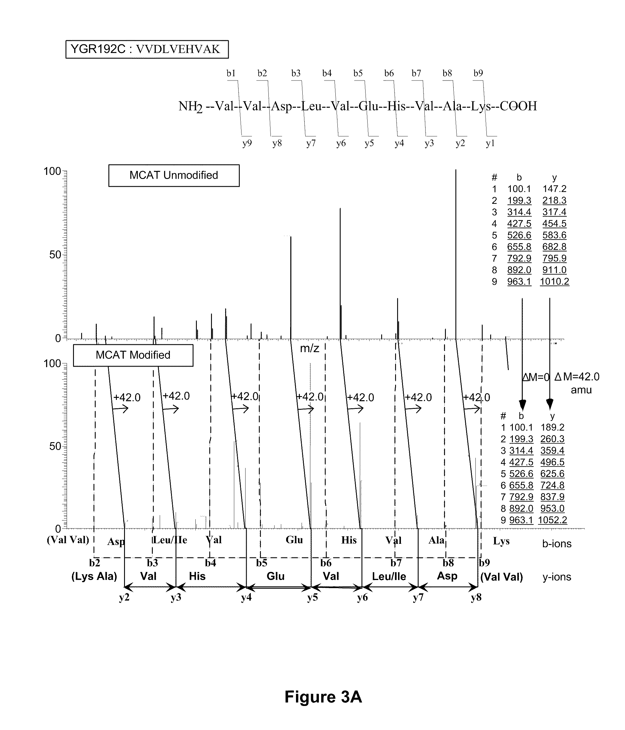 Protein Expression Profile Database