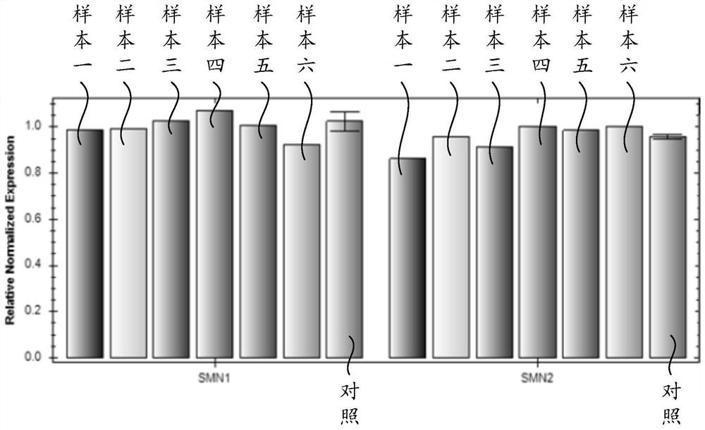 Spinal muscular atrophy detection method,