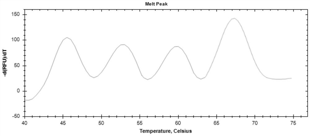 Spinal muscular atrophy detection method,