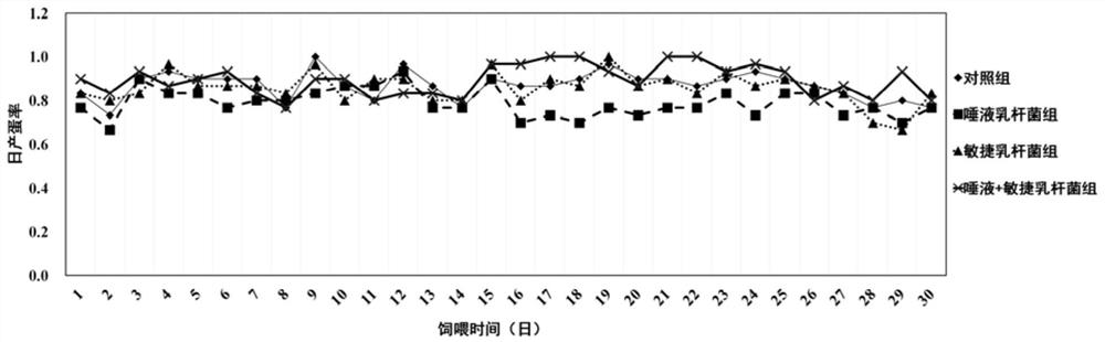 Additive for improving laying rate and egg quality of laying hens as well as preparation and application