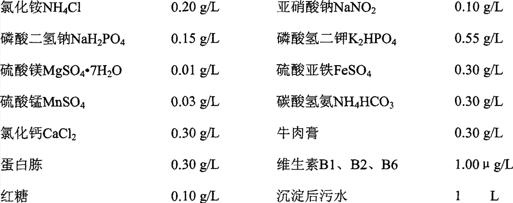 Water-treatment composite microbe continuous culture device and culture method thereof