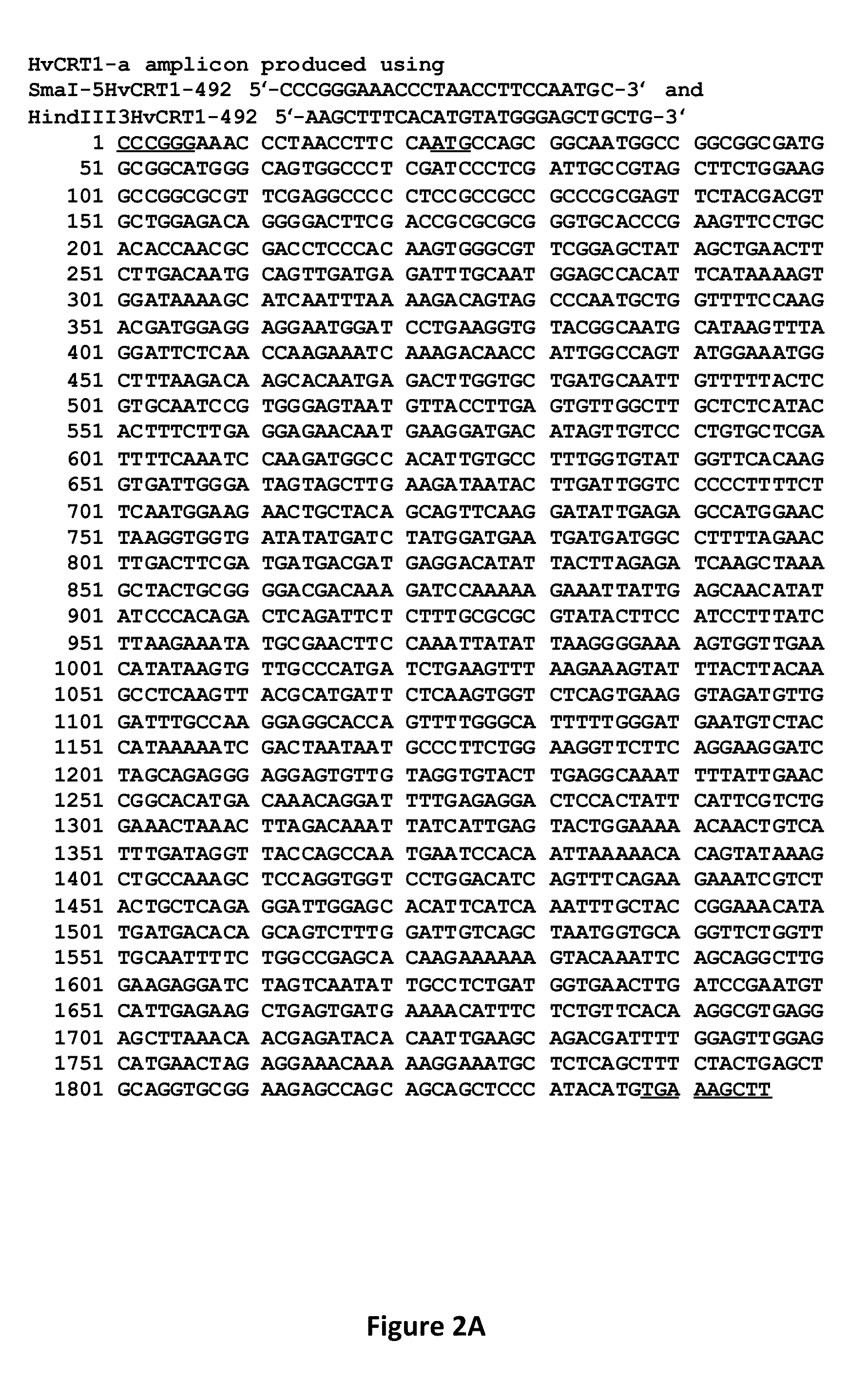 Compositions and Methods for the Generation of Disease Resistant Crops