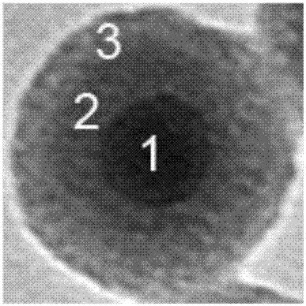 A preparation method of a three-layer core-shell structure drug carrier with near-infrared light remote response