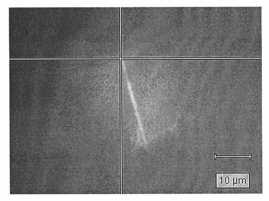 Method for detecting single molecule of single silicon nanowire in real time based on surface enhanced raman scattering effect