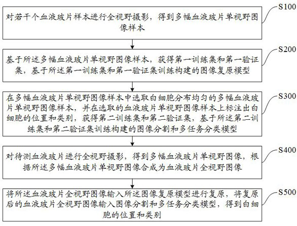 White blood cell detection and identification method, device, computer storage medium and electronic equipment