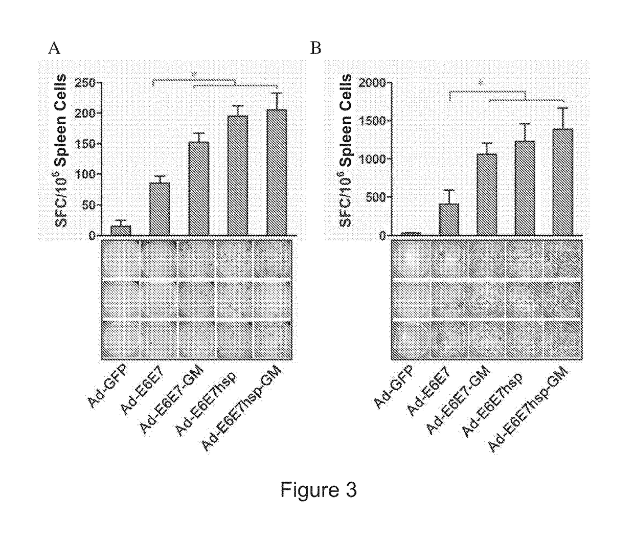 Immunity enhancing therapeutic vaccine for HPV and related diseases