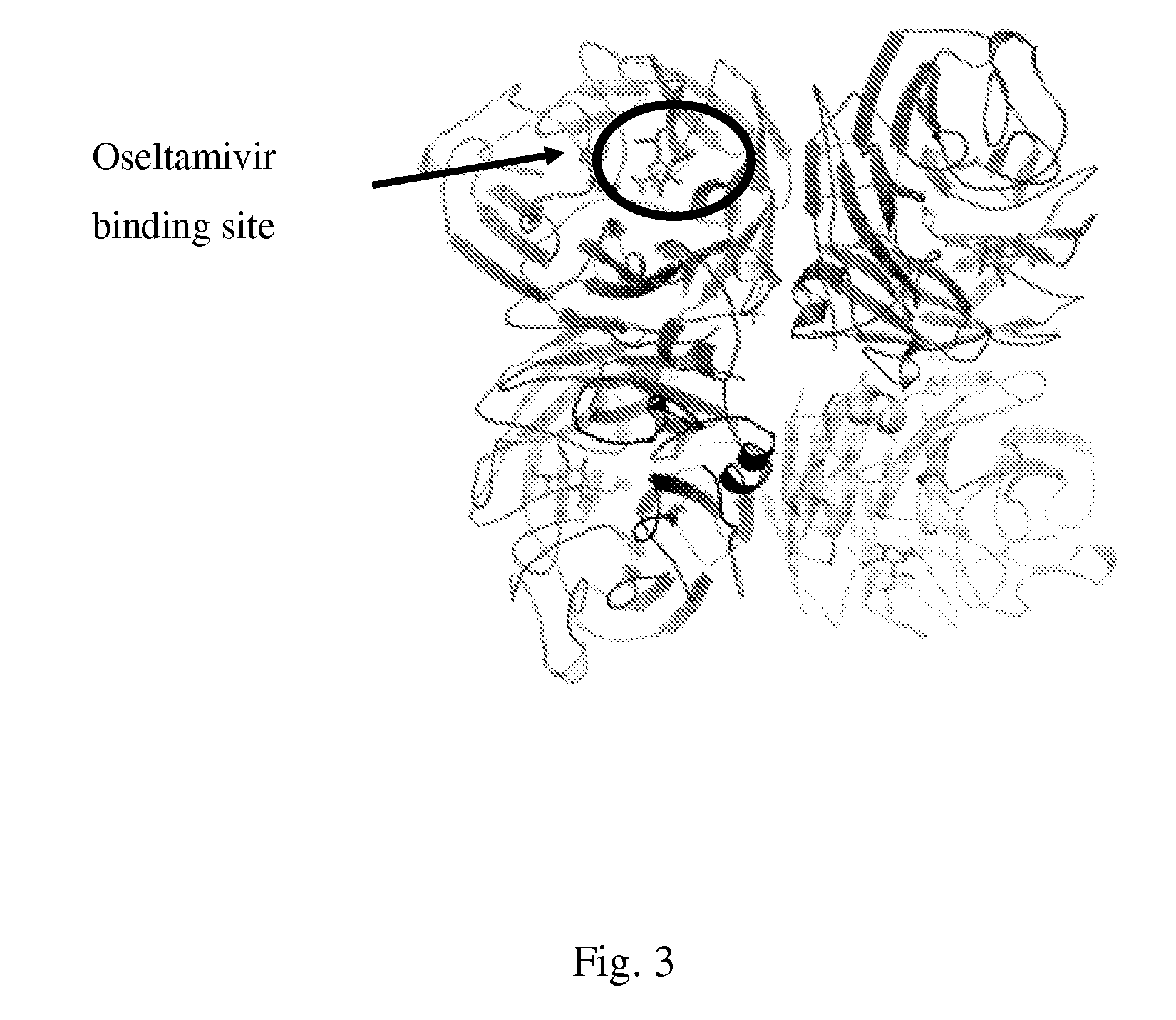 4,5-Diamino-3-Halo-2-Hydroxybenzoic Acid Derivatives and Preparations Thereof