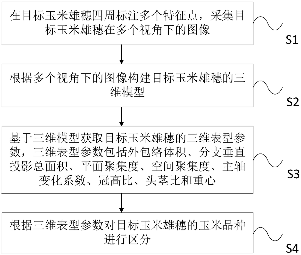 Maize variety distinguishing method and system based on three-dimensional phenotype of maize tassel