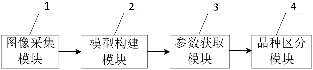 Maize variety distinguishing method and system based on three-dimensional phenotype of maize tassel