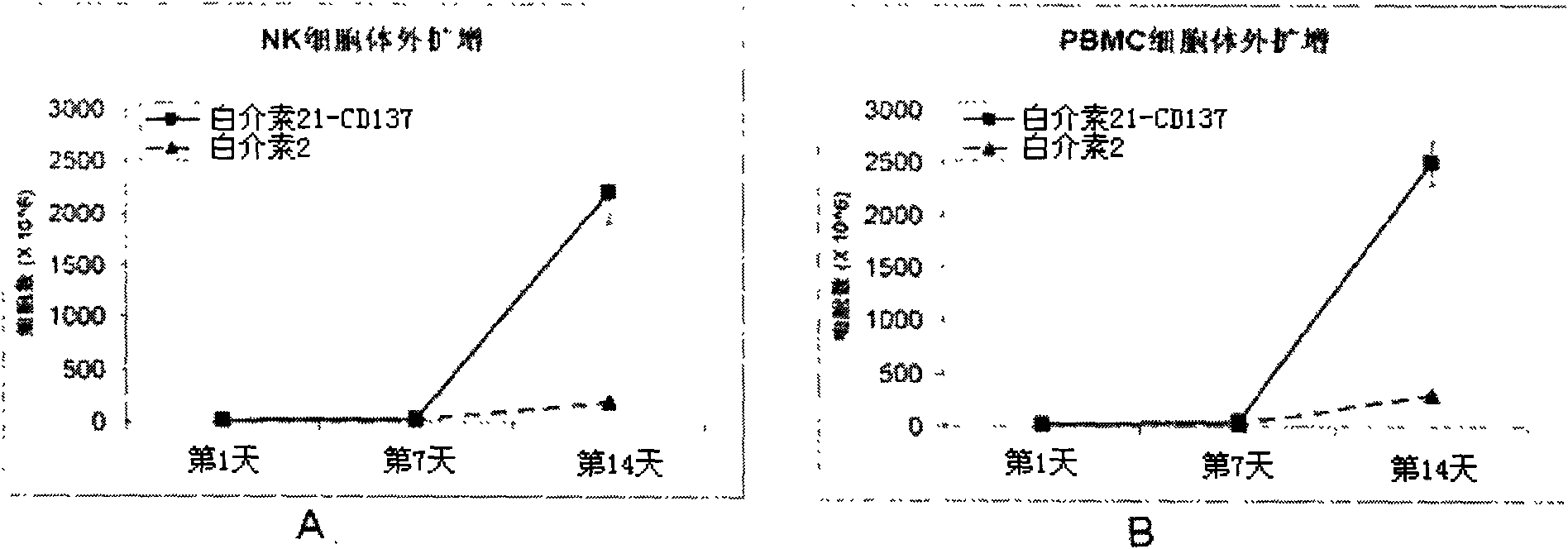 Method for amplifying and activating lymphocyte by using CD8 alpha-interleukin 21-CD137 compound