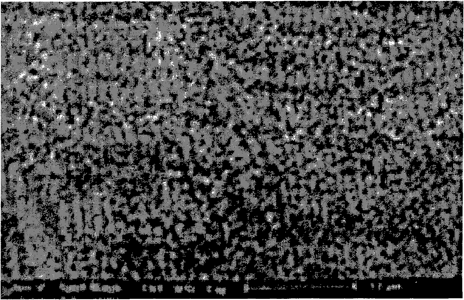 Preparation method of zirconium dioxide powder