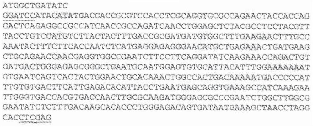 Compositions and methods for improvement of iron metabolism and gut microbiome health