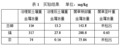 Control and ecological remediation method for soil heavy metal contamination