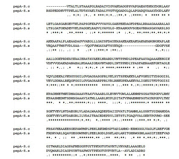 Saccharopolyspora spinosa high-pleocidin-yield engineering strain and application thereof