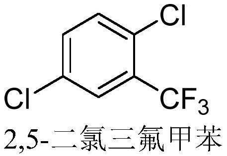 Method for synthesizing 2, 5-dichlorobenzotrifluoride through continuous flow catalytic chlorination