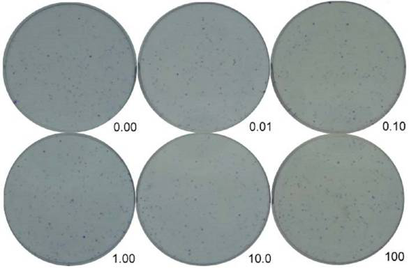 Homogalacturonan, compound, as well as preparation method and application