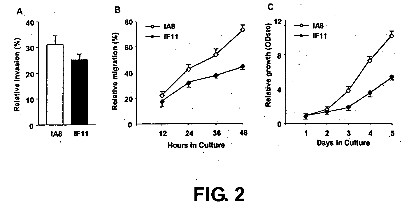 Compositions and methods for targeted tumor therapy