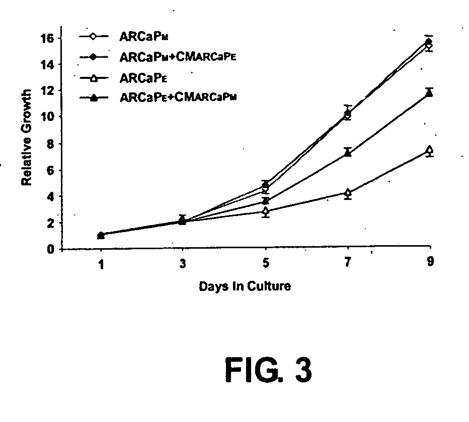 Compositions and methods for targeted tumor therapy