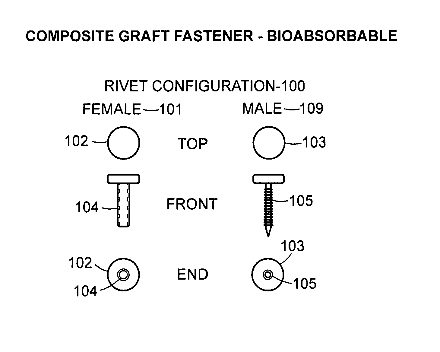 Bioabsorbable fasteners for preparing and securing ligament replacement grafts