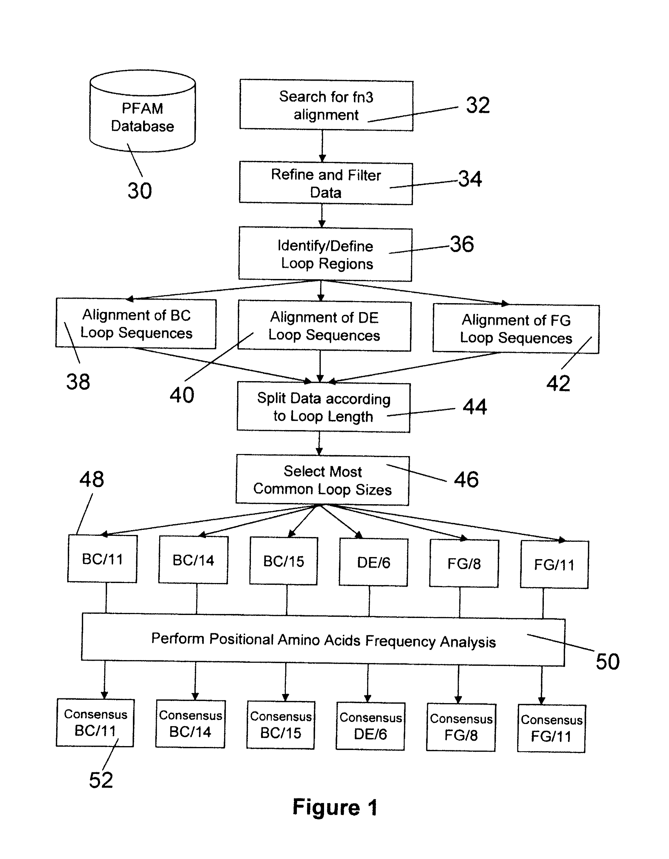 Universal fibronectin type iii binding-domain libraries