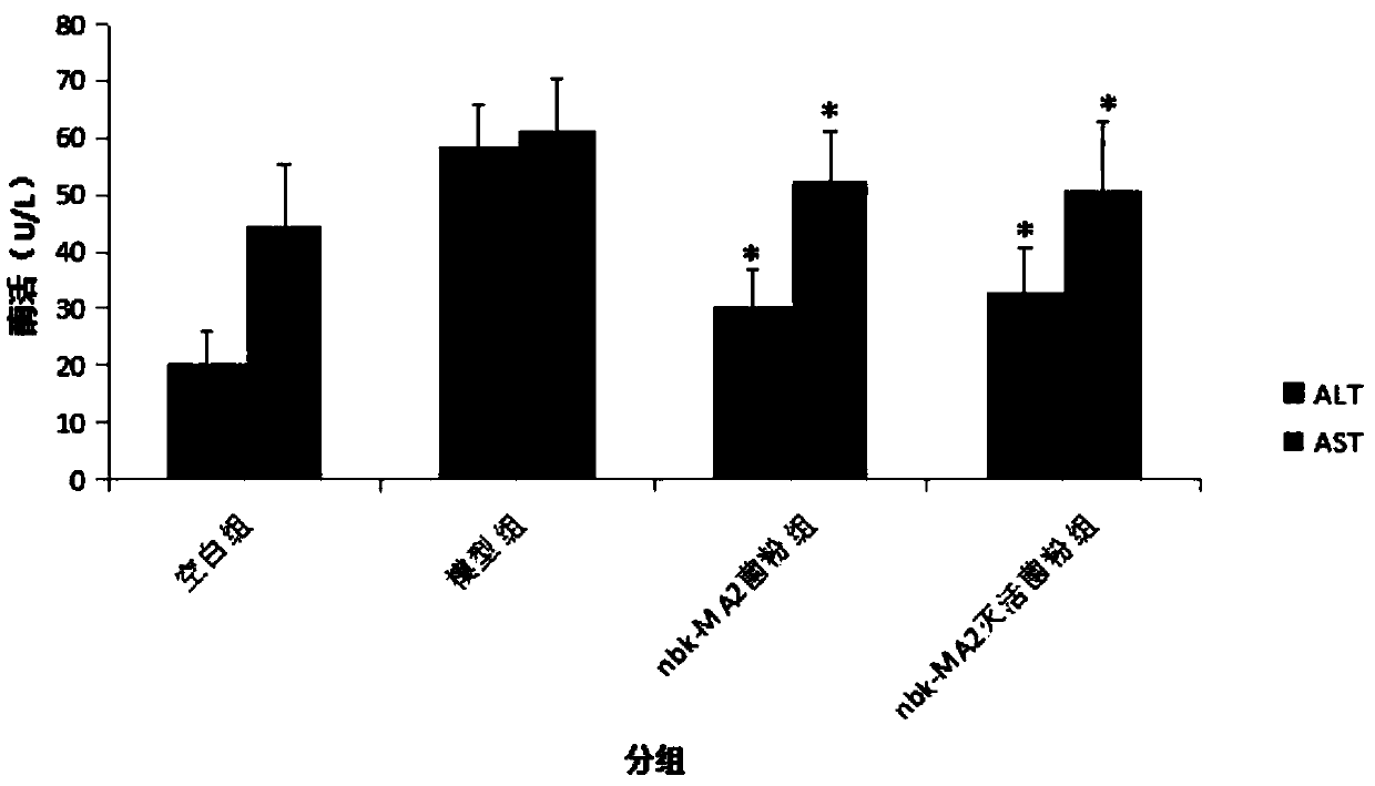 Lactobacillus plantarum with function of reducing blood lipids and application of lactobacillus plantarum