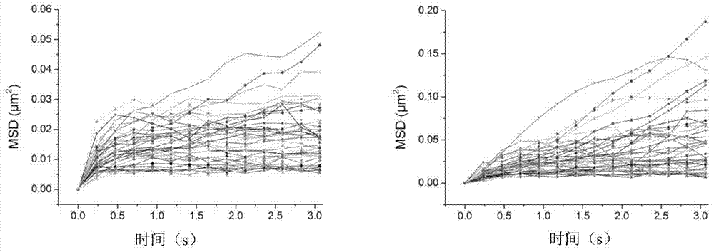 A method for detecting the laterally restricted area of ​​membrane proteins in living plants