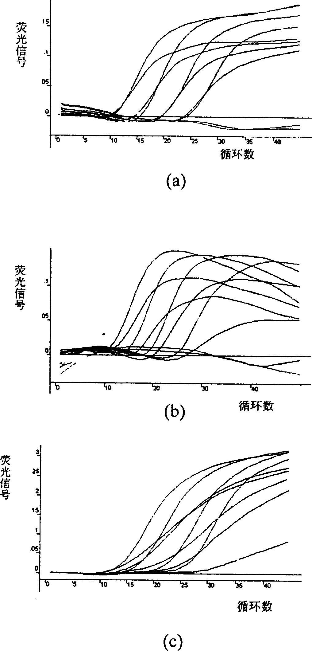 Method of multiplex fluorescence PCR ¿C improved molecule beacon for detecting pathogenesis bacterium stemmed from eating source