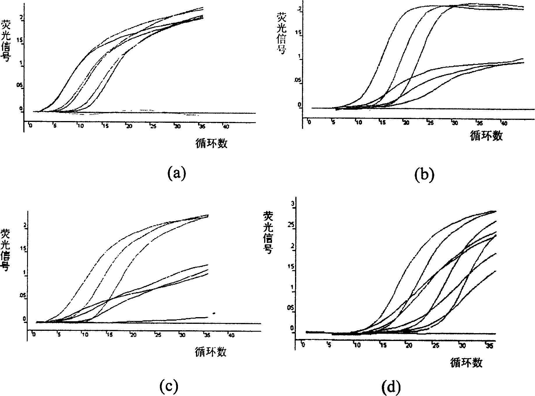 Method of multiplex fluorescence PCR ¿C improved molecule beacon for detecting pathogenesis bacterium stemmed from eating source