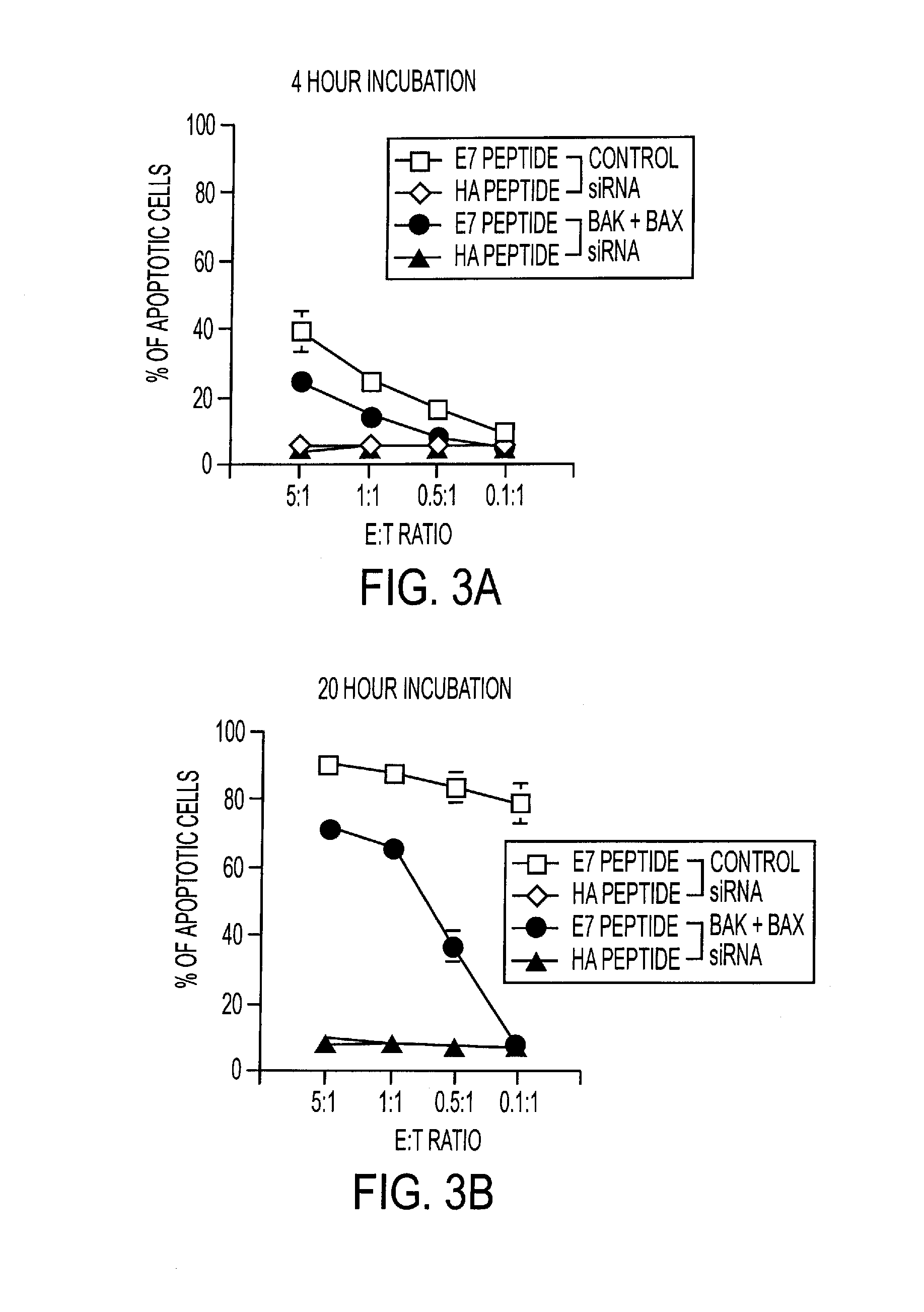 RNA Interference That Blocks Expression of Pro-Apoptotic Proteins Potentiates Immunity Induced by DNA and Transfected Dendritic Cell Vaccines