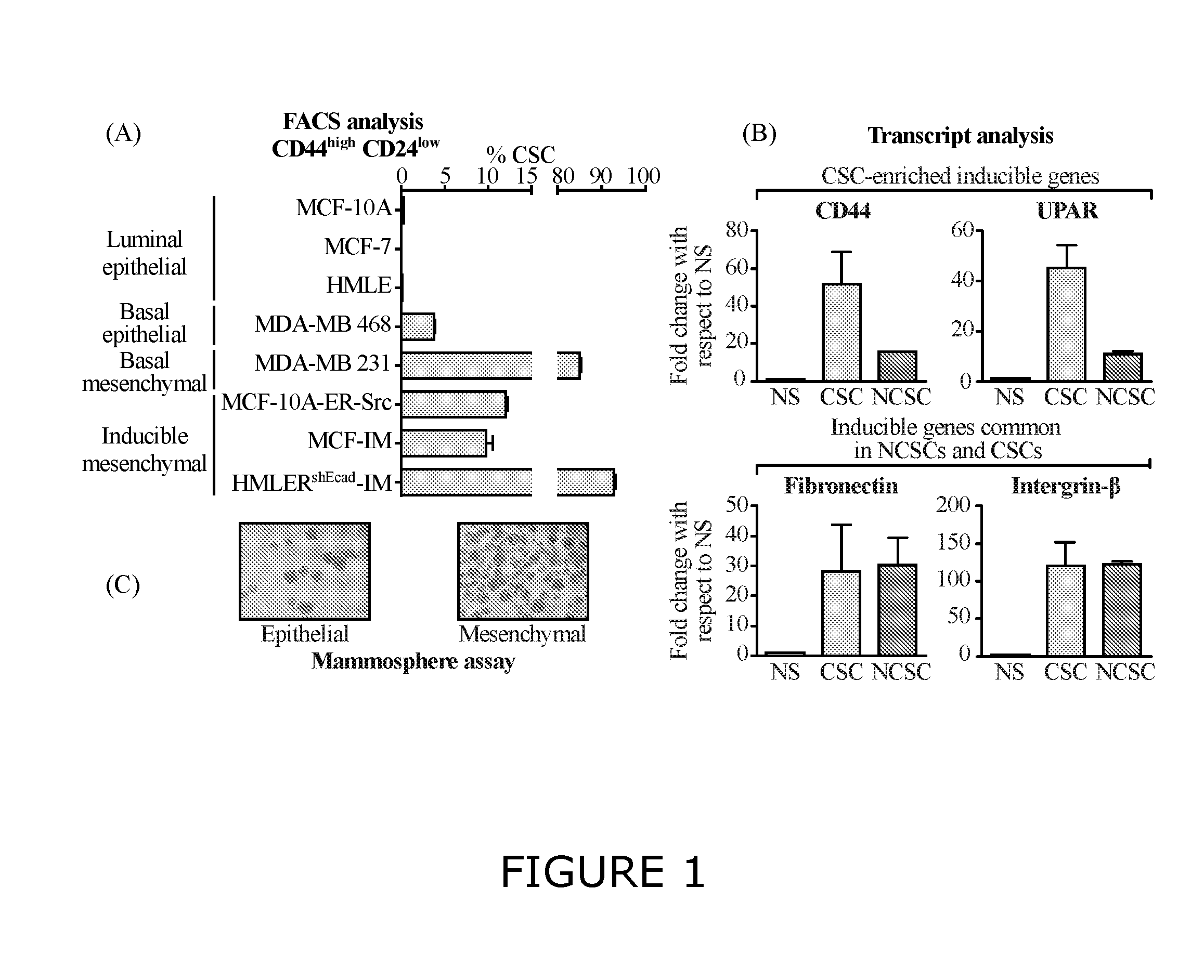 Methods and compositions for modulating cancer stem cells