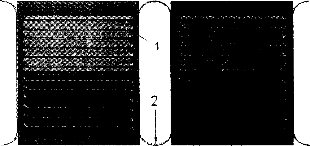 Fin type heat exchanger of gas-liquid partition wall pipes with pin ribs