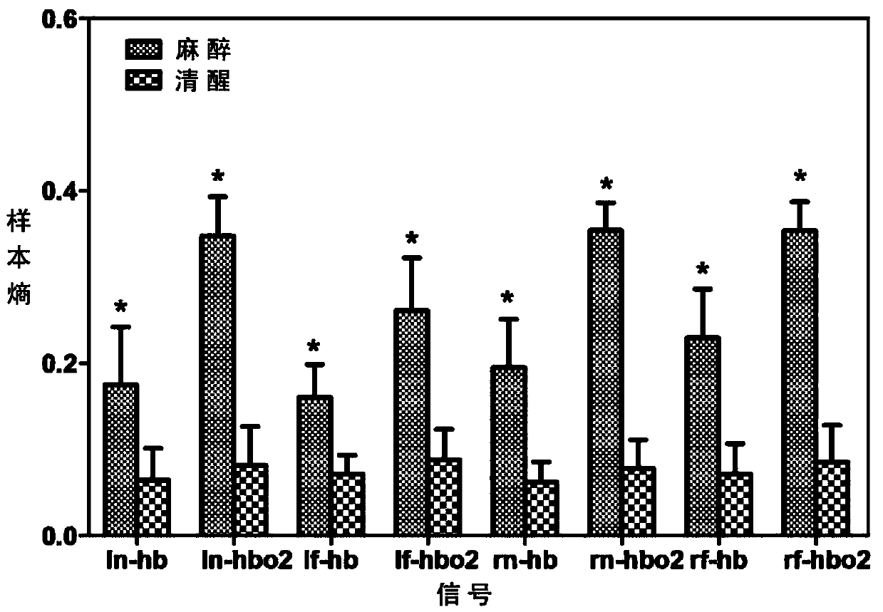 Anesthesia depth monitoring system and method based on near infrared spectroscopy