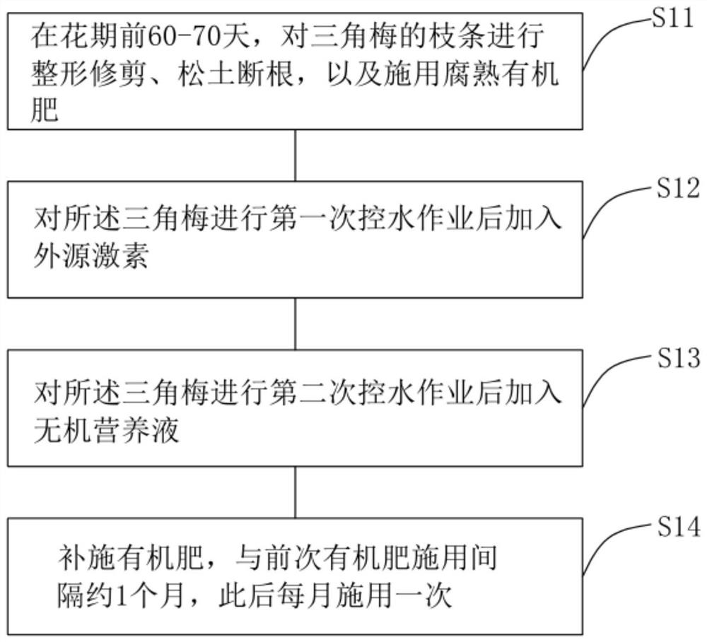 Flowering phase regulation and control method of bougainvillea speetabilis for bridge body greening