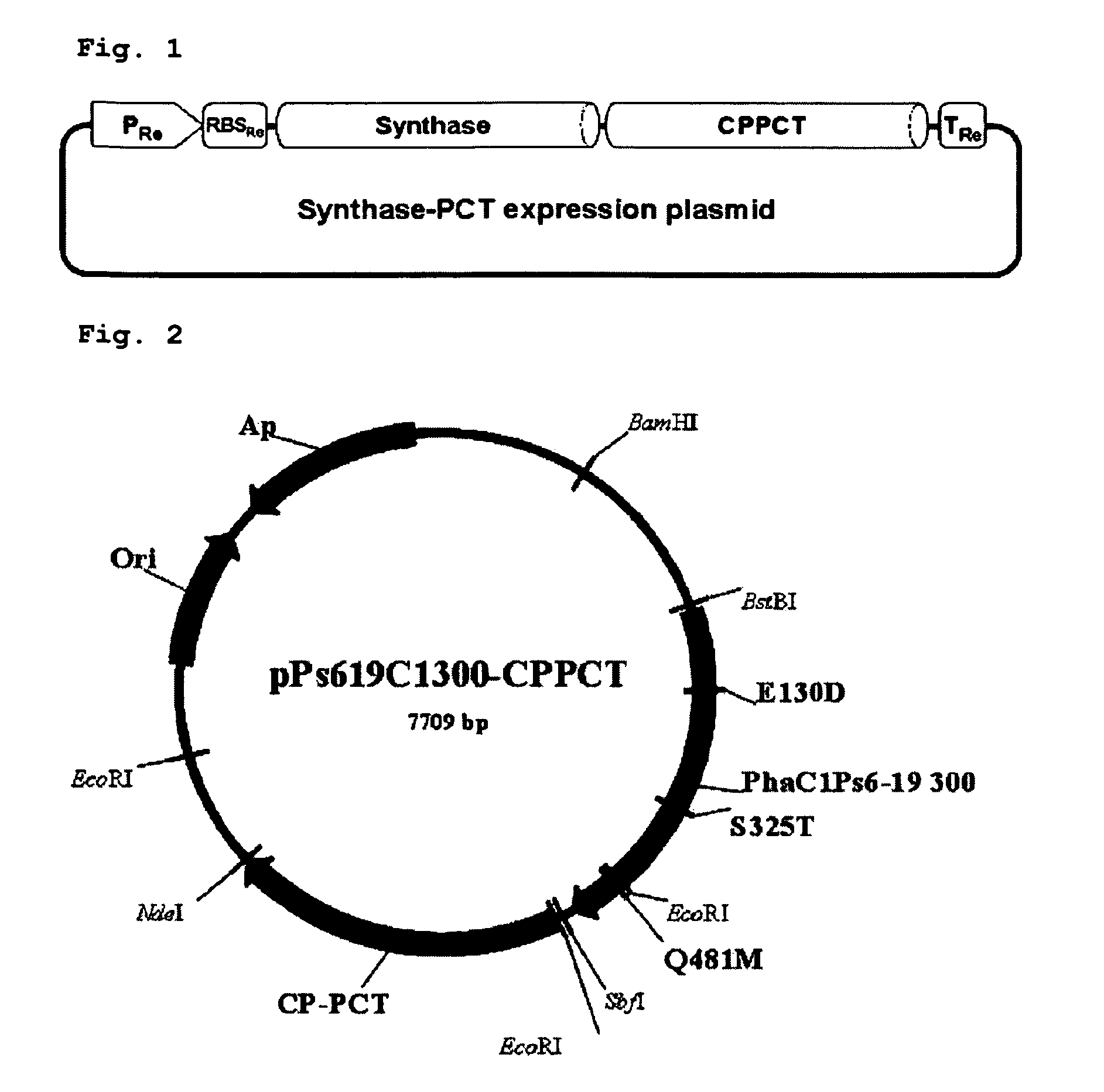 Copolymer comprising 4-hydroxybutyrate unit and lactate unit and its manufacturing method