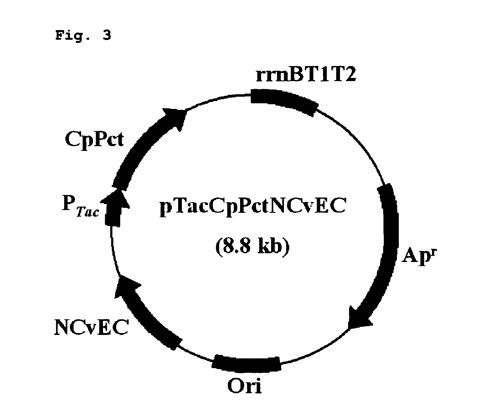 Copolymer comprising 4-hydroxybutyrate unit and lactate unit and its manufacturing method