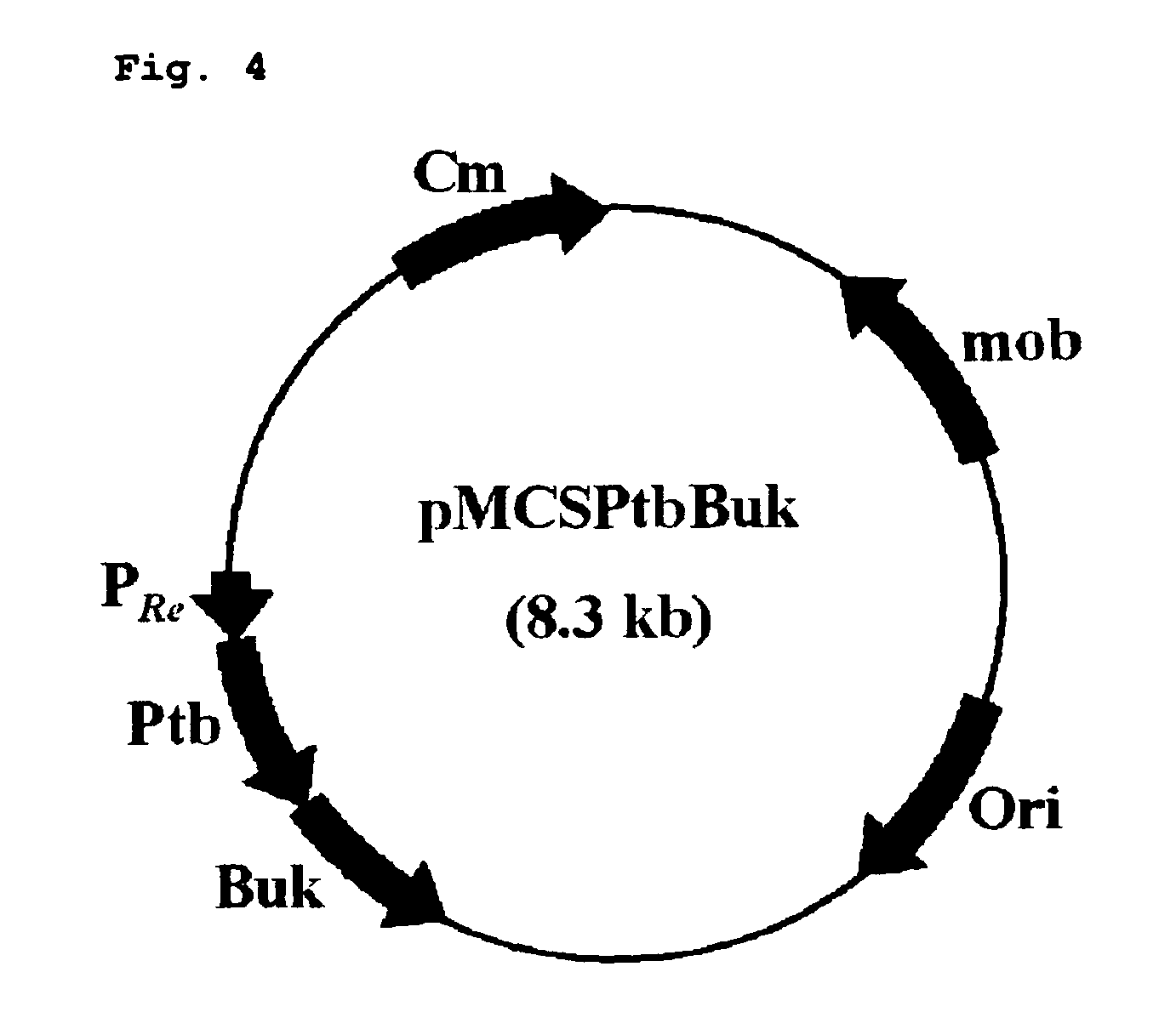 Copolymer comprising 4-hydroxybutyrate unit and lactate unit and its manufacturing method