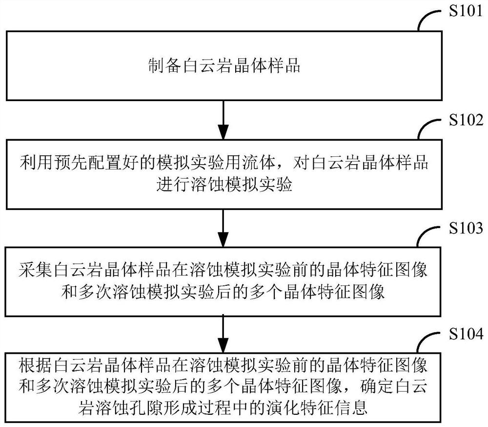 Crystal-scale dolomite corrosion pore formation evolution simulation method and device