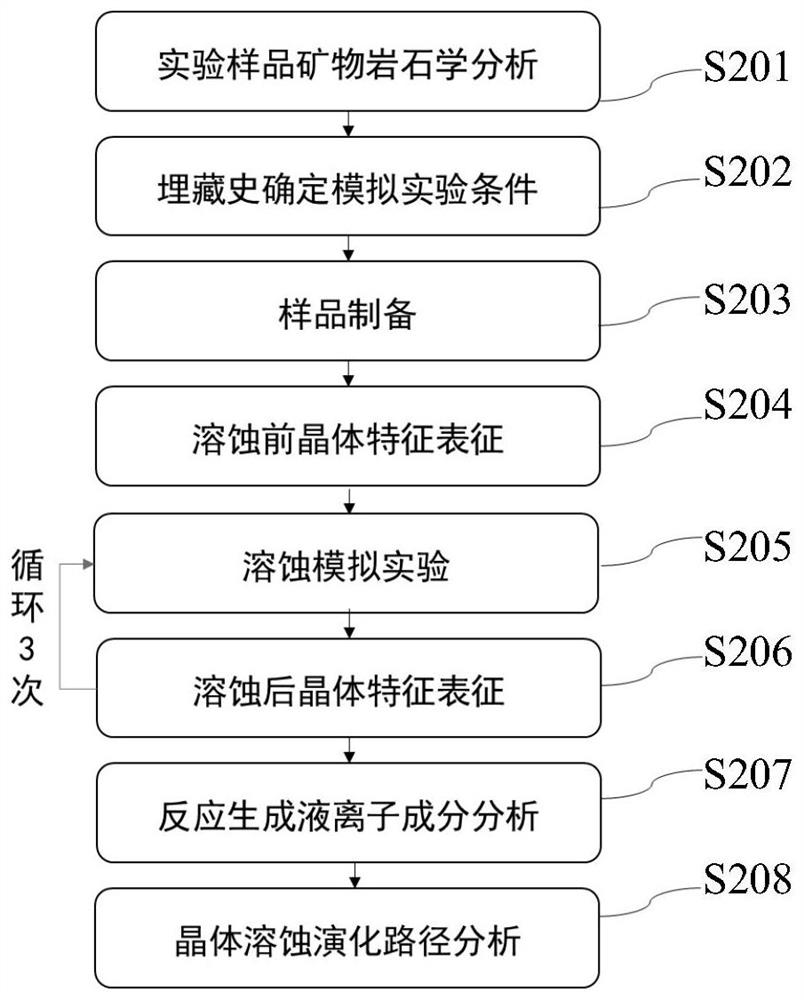 Crystal-scale dolomite corrosion pore formation evolution simulation method and device