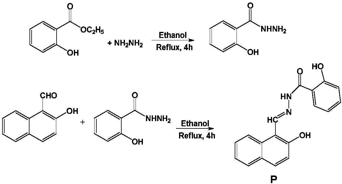 Benzoyl hydrazine derivative P and synthesis and application thereof