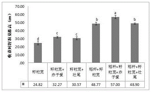 Biological combined remediation method for heavy metal contaminated soil in acid diggings