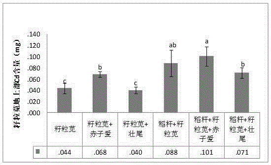 Biological combined remediation method for heavy metal contaminated soil in acid diggings