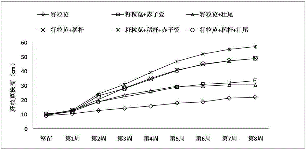 Biological combined remediation method for heavy metal contaminated soil in acid diggings