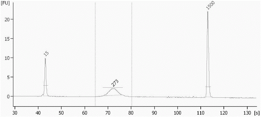 PCR amplification system and library construction method for whole genome bisulfate sequencing