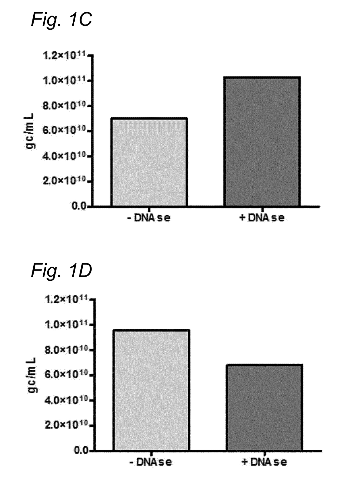 DNA impurities in a composition comprising a parvoviral virion