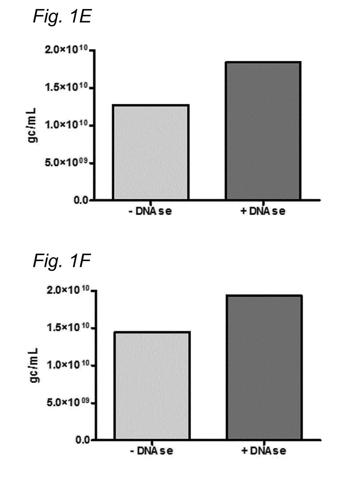 DNA impurities in a composition comprising a parvoviral virion